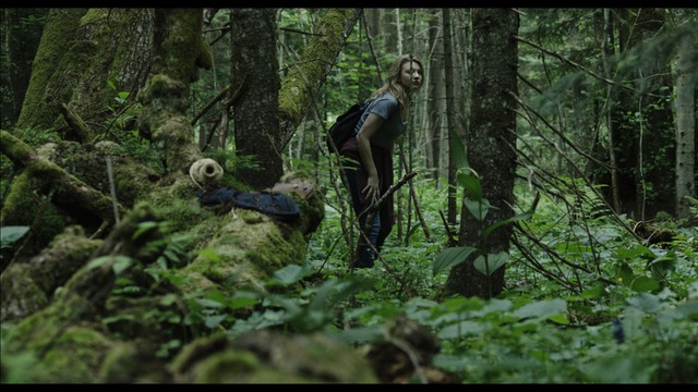 62.0_Aokigahara Forest photoMT