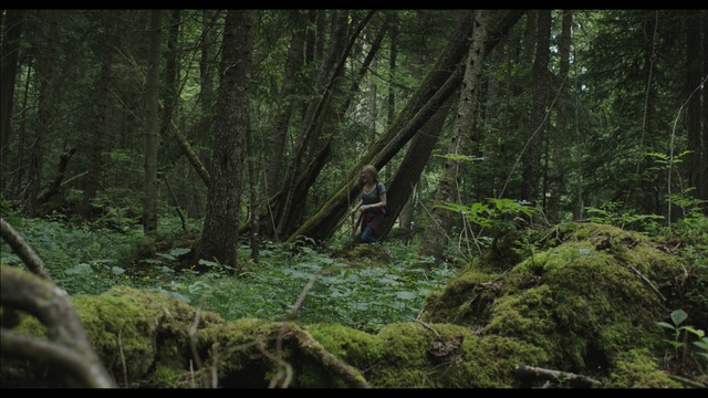 63.0_Aokigahara Forest photoMT