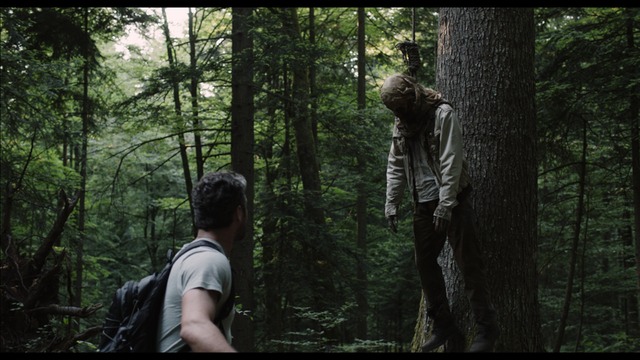 65.1_Aokigahara Forest photoMT