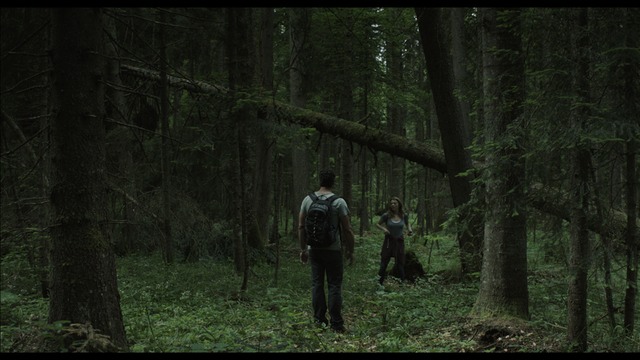 79.5_Ext.AokigaharaForest photoMT