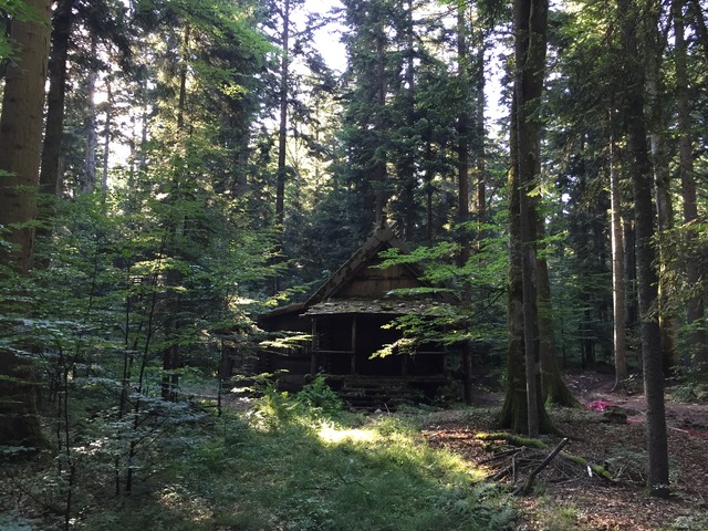 82.1_Ext.Rangers station_Set Build