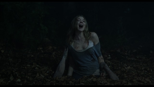 92.1_Final sequence Set Build photoJD